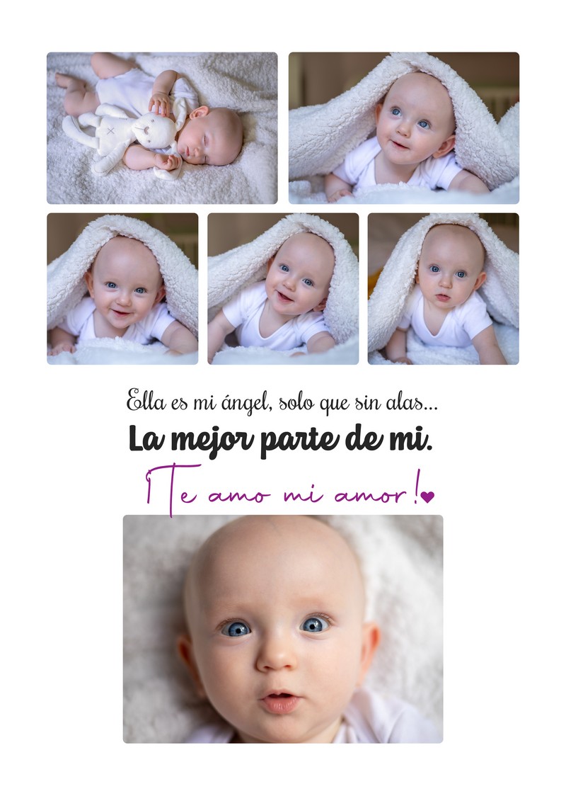 Diseño 6