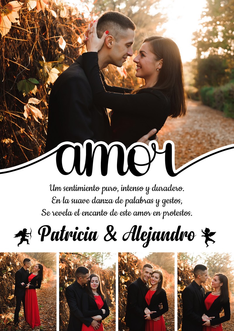 Diseño 49